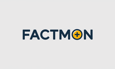 FactMon.com - Creative brandable domain for sale